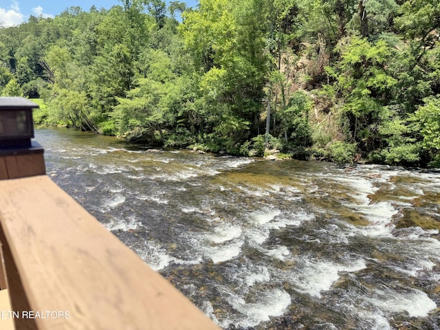 1659 Cherohala Skwy, Tellico Plains, TN 37385 - view of yard with a view of trees
