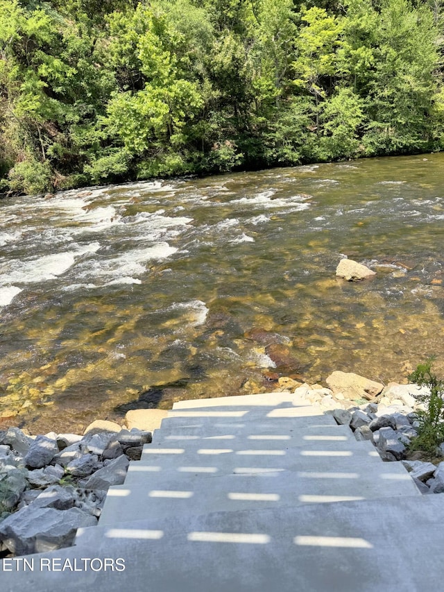 1659 Cherohala Skwy, Tellico Plains, TN 37385 - view of yard