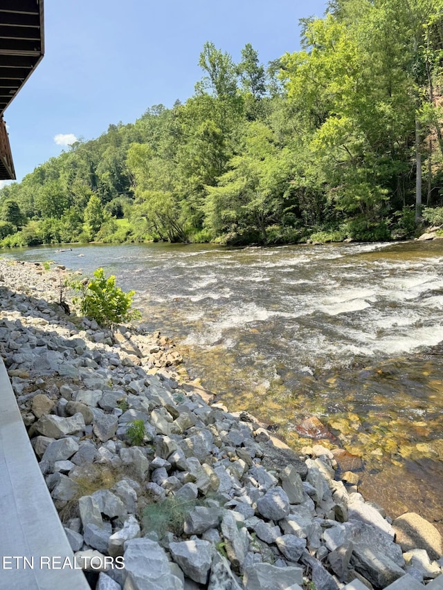 1659 Cherohala Skwy, Tellico Plains, TN 37385 - water view featuring a heavily wooded area