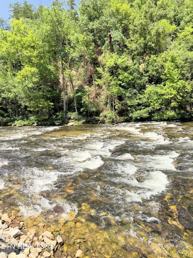 1659 Cherohala Skwy, Tellico Plains, TN 37385 - view of nature