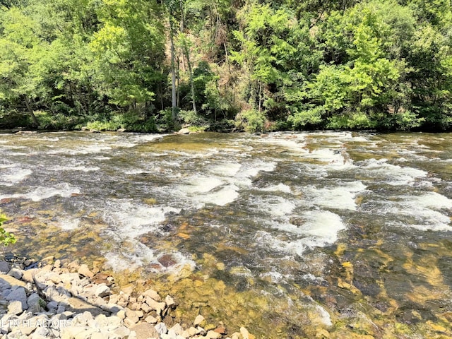 1659 Cherohala Skwy, Tellico Plains, TN 37385 - view of woods