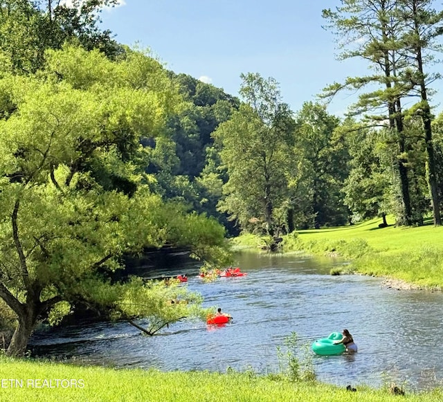 1659 Cherohala Skwy, Tellico Plains, TN 37385 - water view featuring a heavily wooded area
