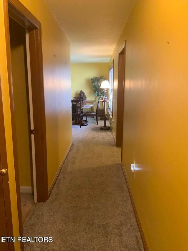 1315 Winchester Ave, Middlesboro, KY 40965 - corridor with carpet floors and baseboards