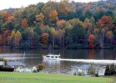 608 Wood Duck Dr, Vonore, TN 37885