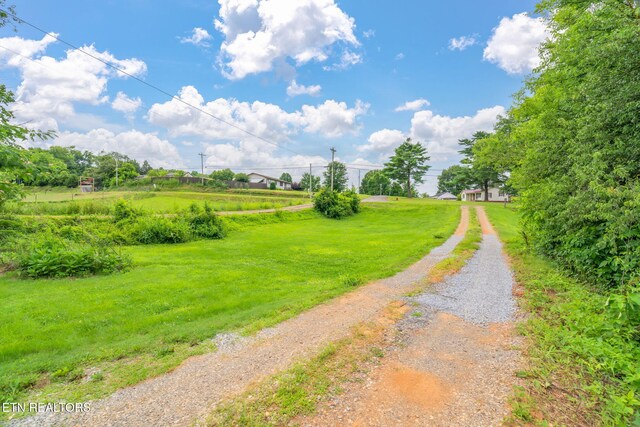 555 N Trigonia Rd, Greenback, TN 37742 - view of dirt / gravel road