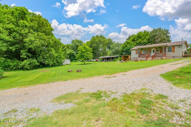555 N Trigonia Rd, Greenback, TN 37742 - view of green lawn featuring a porch, gravel driveway, and view of scattered trees