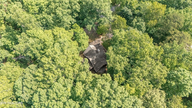 120 Ccc Camp Rd, Norris, TN 37828 - photo 37