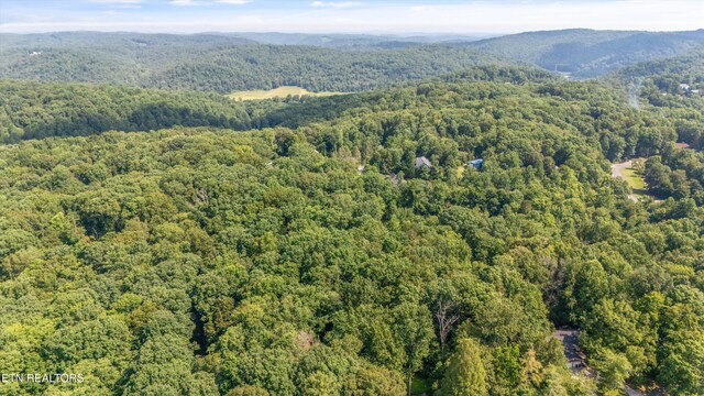 120 Ccc Camp Rd, Norris, TN 37828 - photo 40