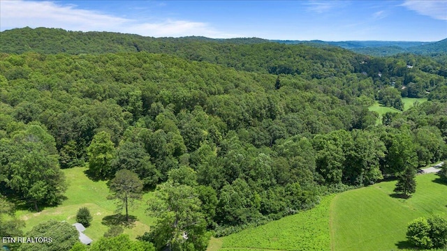 330 Dilbeck Ln, Caryville, TN 37714 - bird's eye view of a heavily wooded area