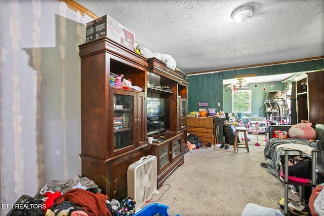 330 Dilbeck Ln, Caryville, TN 37714 - living room with a textured ceiling and carpet flooring