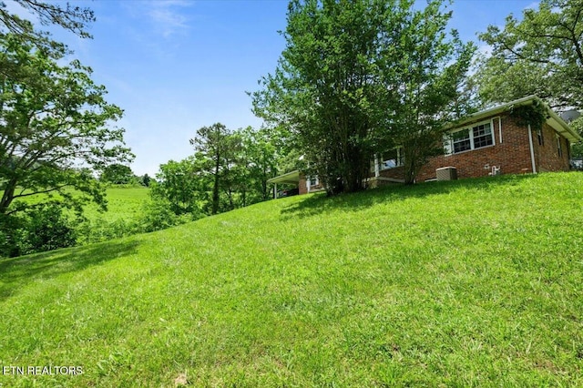 330 Dilbeck Ln, Caryville, TN 37714 - view of grassy yard