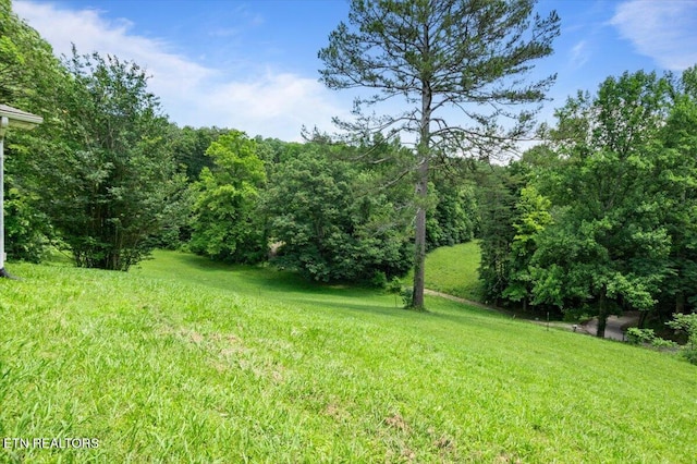 330 Dilbeck Ln, Caryville, TN 37714 - view of green lawn featuring a wooded view