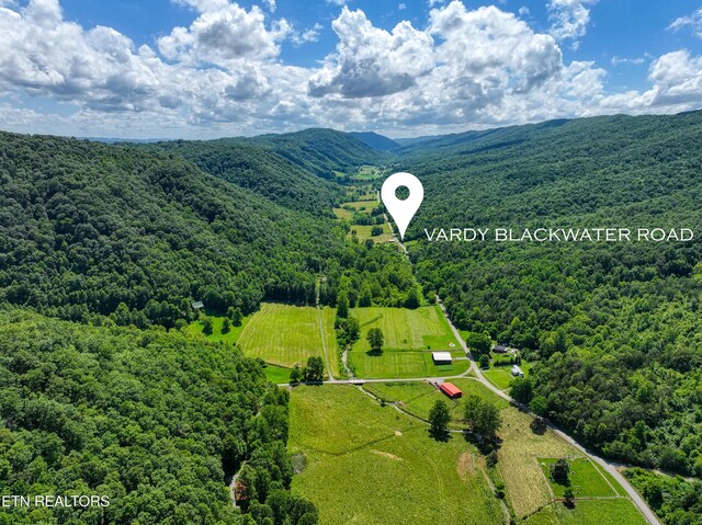 Vardy Blackwater Rd, Sneedville, TN 37869 - photo 6