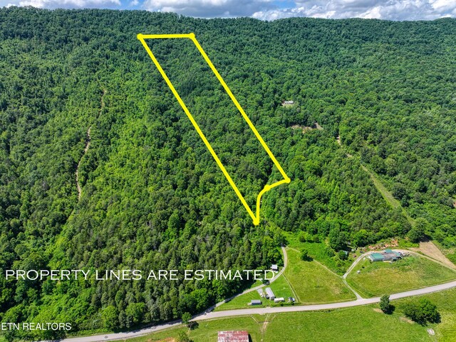 Vardy Blackwater Rd, Sneedville, TN 37869 - photo 7