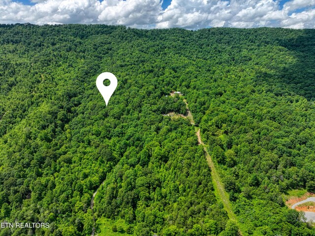 Vardy Blackwater Rd, Sneedville, TN 37869 - photo 10