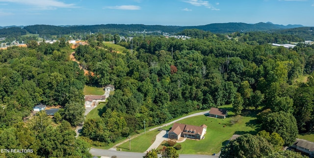 1717 N Parkridge Dr, Knoxville, TN 37924