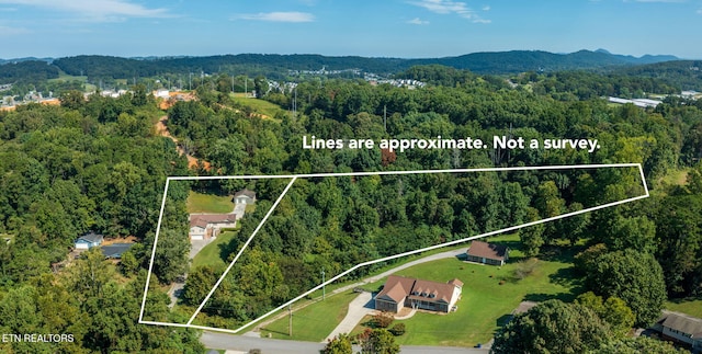 1717 N Parkridge Dr, Knoxville, TN 37924