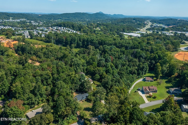 1717 N Parkridge Dr, Knoxville, TN 37924