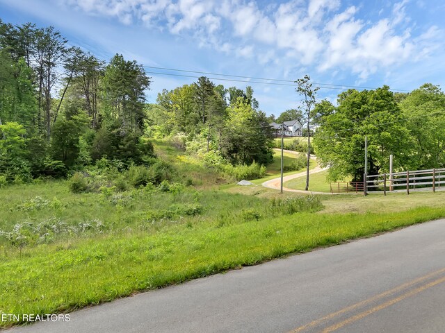 Marble Hill Rd Unit 22, Acres Friendsville, TN 37737 - photo 7