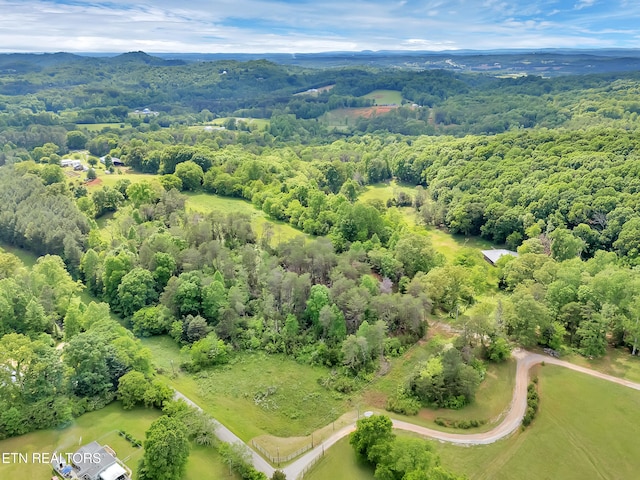 Marble Hill Rd Unit 22, Acres Friendsville, TN 37737 - photo 4