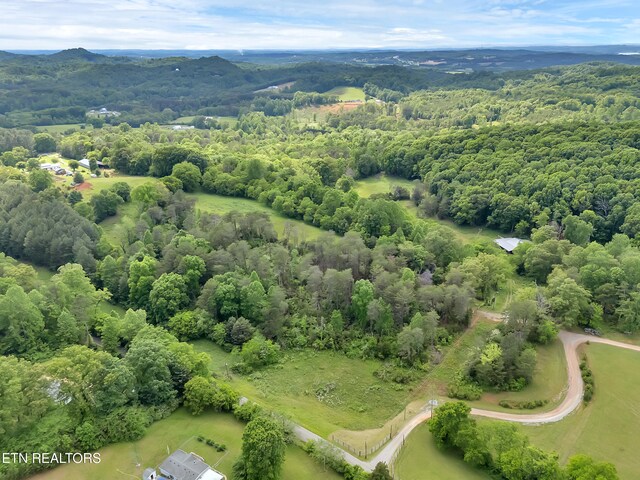 Marble Hill Rd Unit 22, Acres Friendsville, TN 37737 - photo 3
