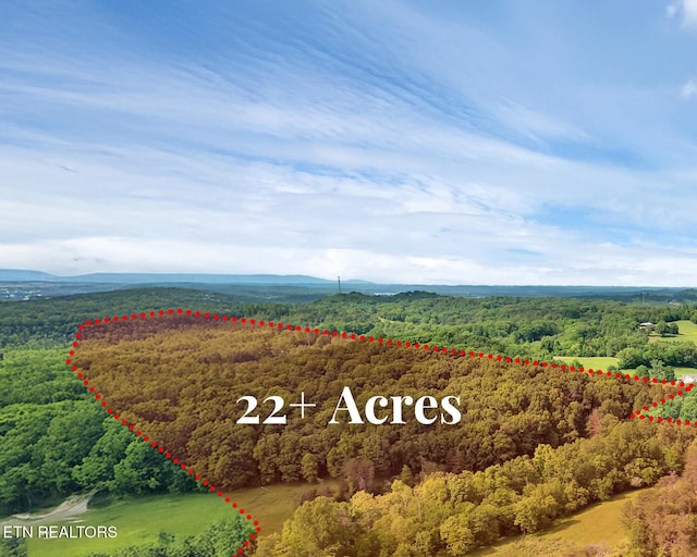 Marble Hill Rd Unit 22, Acres Friendsville, TN 37737 - photo 1