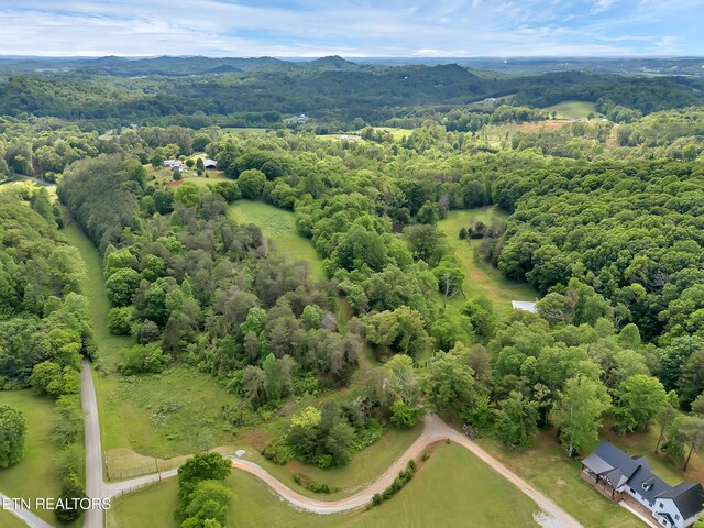 Marble Hill Rd Unit 22, Acres Friendsville, TN 37737 - photo 9