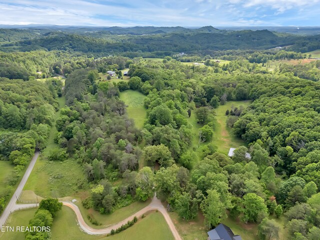 Marble Hill Rd Unit 22, Acres Friendsville, TN 37737 - photo 10