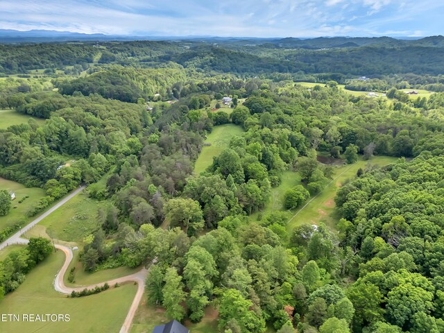 Marble Hill Rd Unit 22, Acres Friendsville, TN 37737 - photo 11