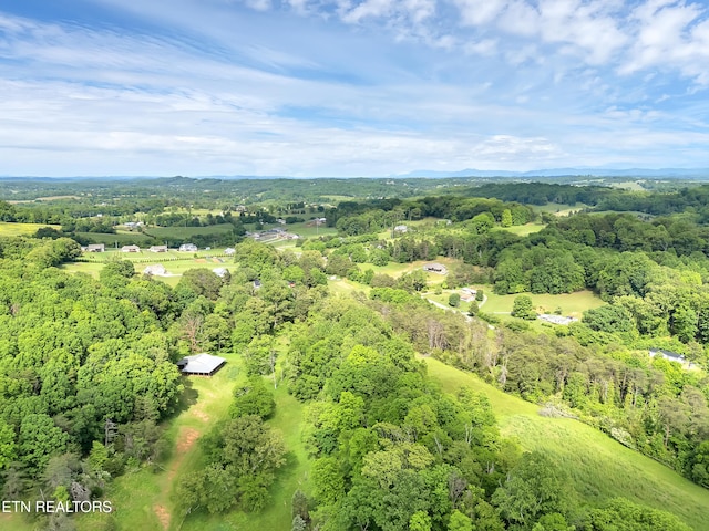Marble Hill Rd Unit 22, Acres Friendsville, TN 37737 - photo 12