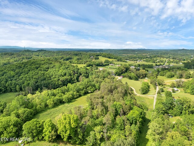 Marble Hill Rd Unit 22, Acres Friendsville, TN 37737 - photo 2