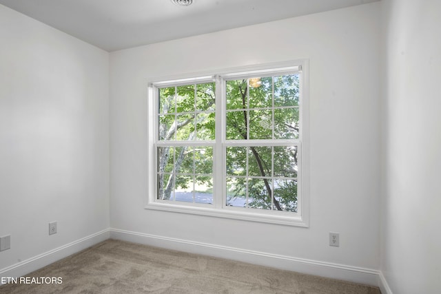 10820 Parkgate Ln, Knoxville, TN 37934 - photo 18