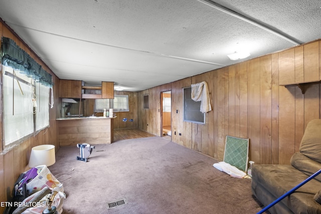 807 E E Chestnut St, Lafollette, TN 37766 - carpeted living area featuring wood walls and a textured ceiling