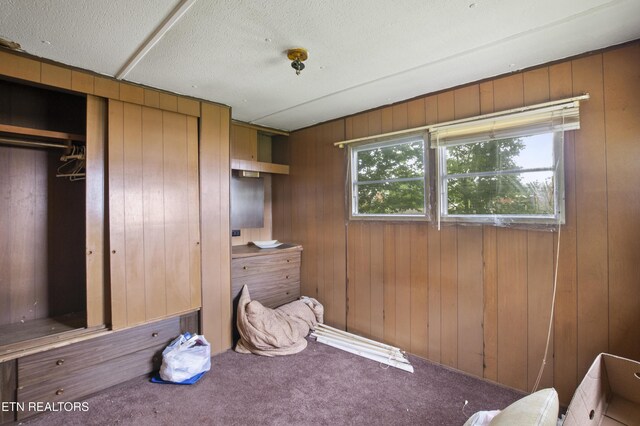 807 E E Chestnut St, Lafollette, TN 37766 - bedroom with carpet flooring, wood walls, and a closet