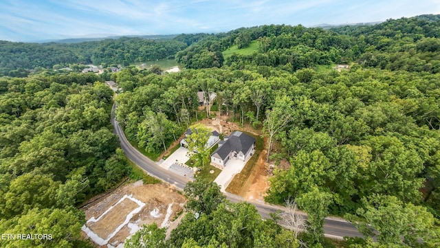 256 Elohi Way, Loudon, TN 37774 - photo 51