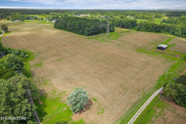 1790 Coon Hunt Rd, Baxter, TN 38544 - bird's eye view
