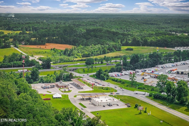 1790 Coon Hunt Rd, Baxter, TN 38544 - bird's eye view of a forest