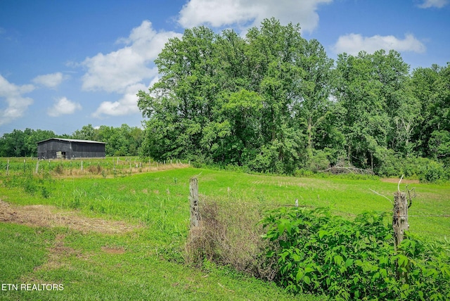 1790 Coon Hunt Rd, Baxter, TN 38544 - view of yard featuring a view of rural / pastoral area and a forest view