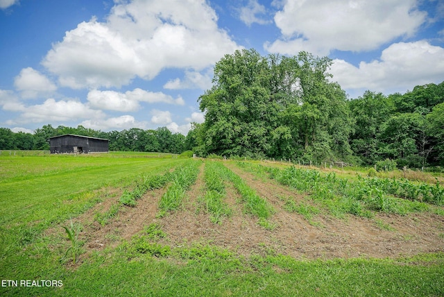 1790 Coon Hunt Rd, Baxter, TN 38544 - view of yard with a rural view and a forest view