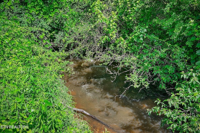 1790 Coon Hunt Rd, Baxter, TN 38544 - view of local wilderness