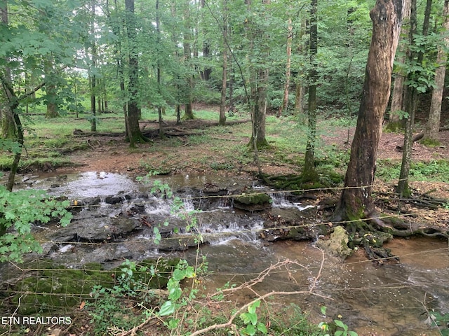 1790 Coon Hunt Rd, Baxter, TN 38544 - view of undeveloped land