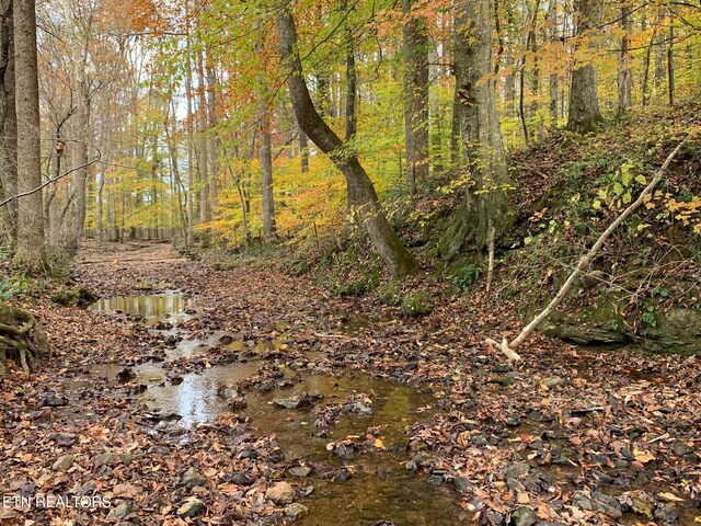 1790 Coon Hunt Rd, Baxter, TN 38544 - view of woods