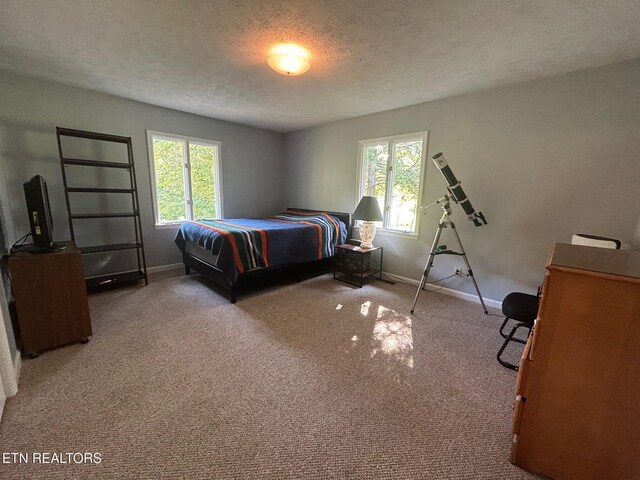 1790 Coon Hunt Rd, Baxter, TN 38544 - carpeted bedroom featuring a textured ceiling and baseboards