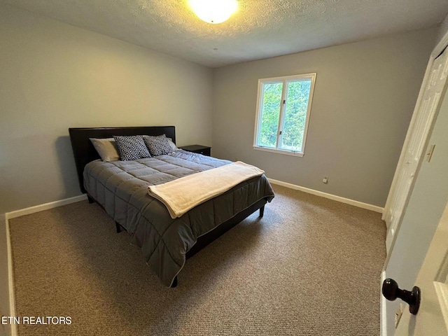 1790 Coon Hunt Rd, Baxter, TN 38544 - bedroom featuring a textured ceiling and carpet flooring