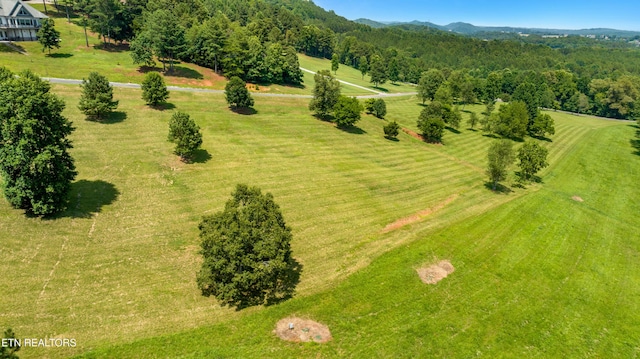 141 Overlook Way, Vonore, TN 37885 - photo 4