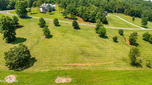 141 Overlook Way, Vonore, TN 37885 - photo 5