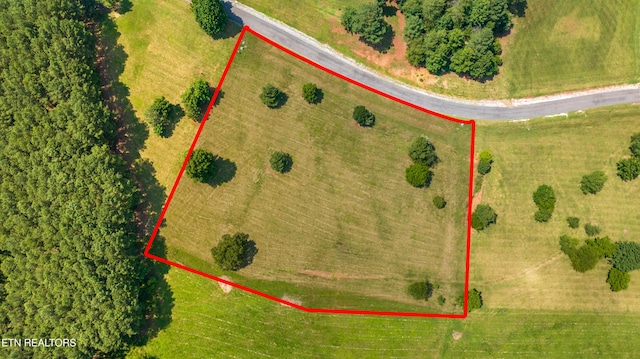 141 Overlook Way, Vonore, TN 37885 - photo 2
