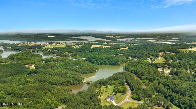 141 Overlook Way, Vonore, TN 37885 - photo 8