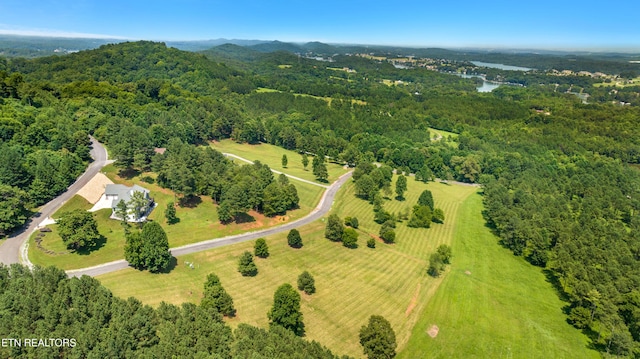 141 Overlook Way, Vonore, TN 37885 - photo 7