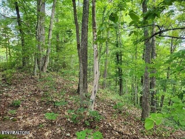 Pea Hollow Rd, Sevierville, TN 37876